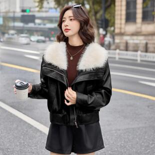 装皮衣加绒套外女冬新时尚ZH2660-1小款个子短款毛领款皮上衣
