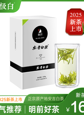 2025绿茶新茶上市 极白安吉白茶特级100g礼盒装 珍稀春茶明前茶叶