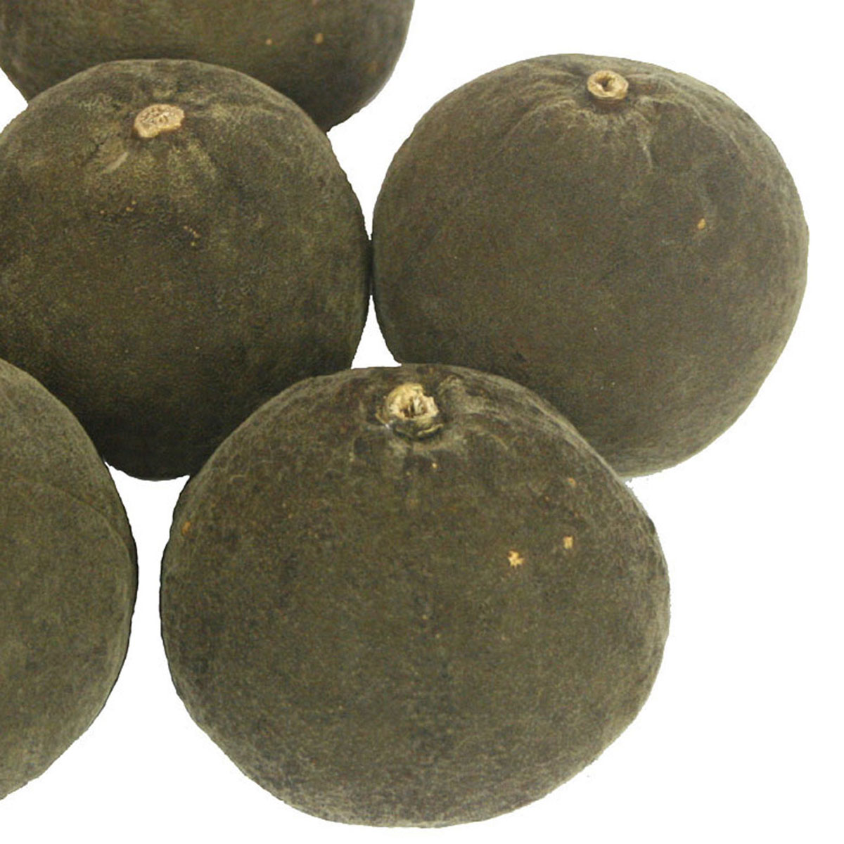 正宗果王陈年老树可代多毛橘红