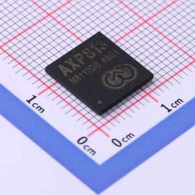 AXP813 专业电源管理(PMIC) AXP813 BGA-218