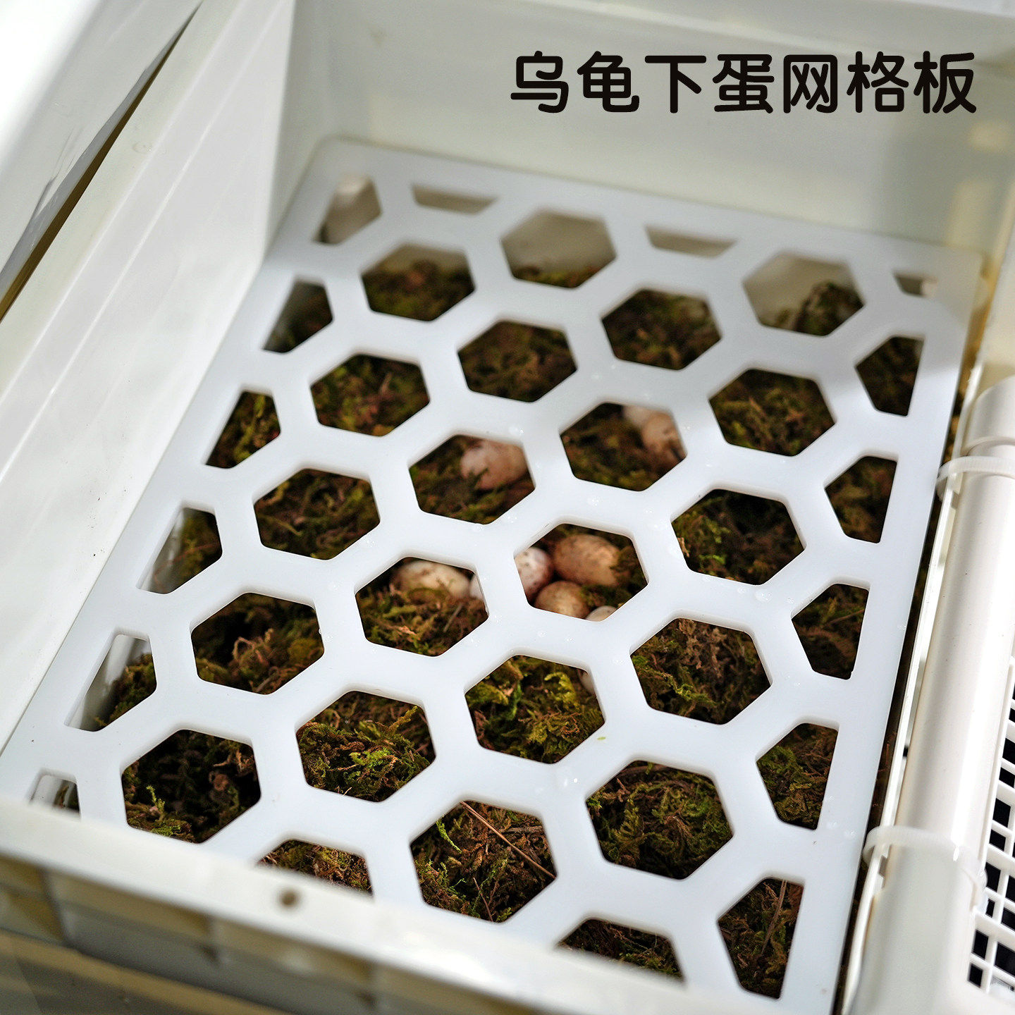 乌龟繁殖产蛋箱带防踩网格板产蛋池爬梯晒台水龟发色盒繁殖套装