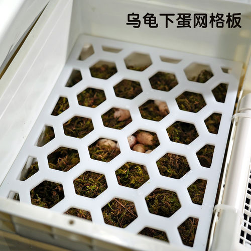 网格板产蛋池爬梯晒台繁殖沙池板