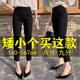 打底裤 八分小个子150弹力高腰外穿薄款 女2025春夏新款 显瘦直筒裤