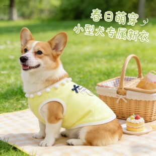 狗狗春款衣服2026新款柯基高颜值小体宠物小型犬轻薄专用春夏背心