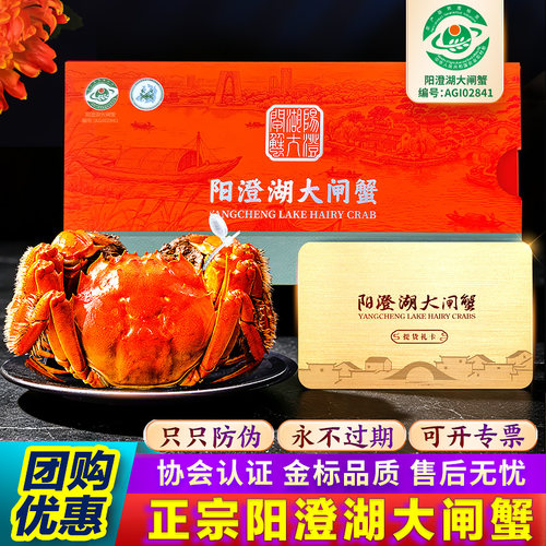 10只蟹卡4.5公+3.5母正宗阳澄湖大闸蟹提货礼券螃蟹中秋国庆团购