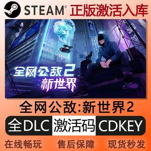 steam正版全网公敌新世界2激活码cdkey全球区全DLC中文PC电脑游戏