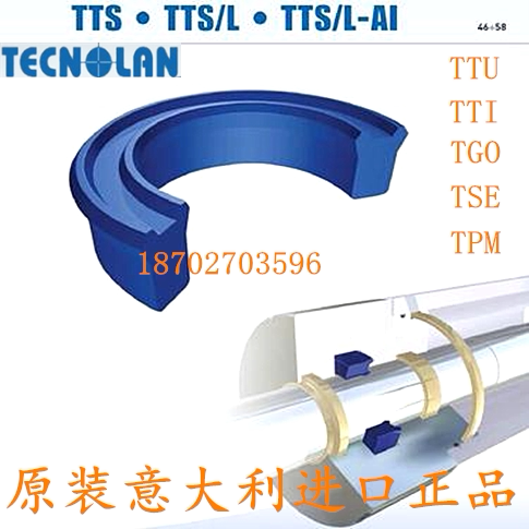 意大利TTU30*40*10/75*85*12/95*110*12油封TECNOLAN密封件