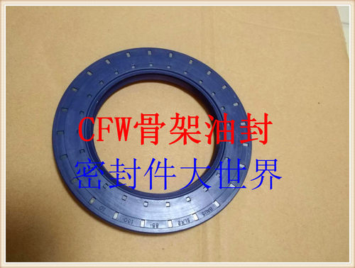 原装进口SIMRIT CFW BAUSLX2 250*280*15骨架油封