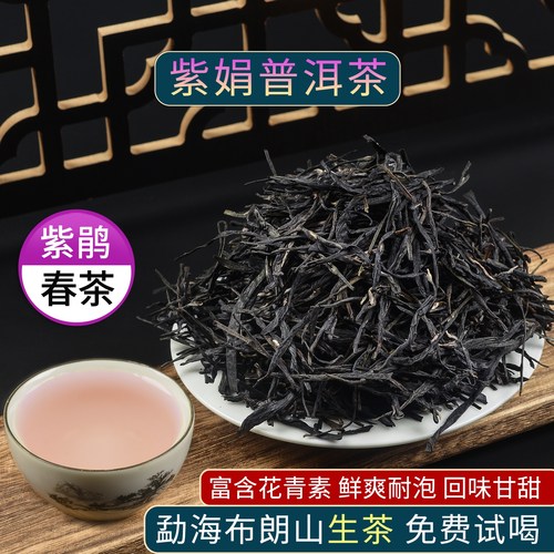 云南紫鹃生茶普洱散茶叶花香紫芽
