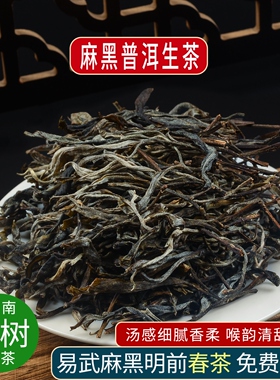 易武正山麻黑老寨普洱生茶2026年春茶古六大茶山大树纯料散装茶叶