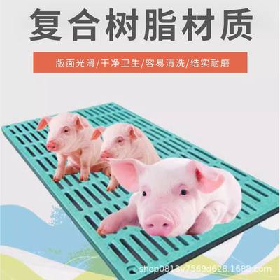 厂家猪羊用复合漏粪板养殖场母猪限位栏产床加厚树脂漏粪板