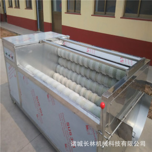 商品翻新芋头马蹄土豆山药生姜去皮毛刷清洗机 根茎类果蔬毛刷清