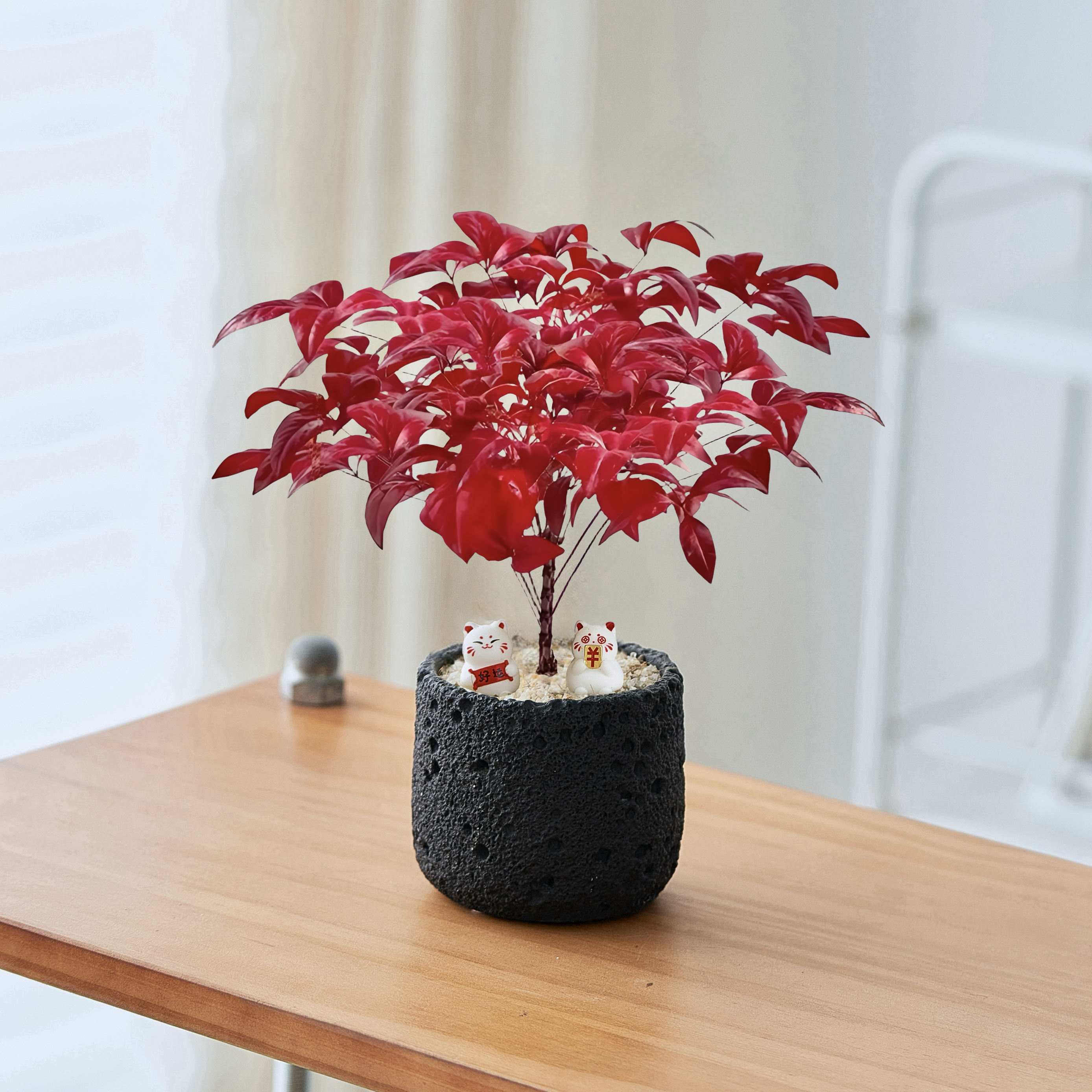 火焰南天竹越冷越红新年氛围盆栽