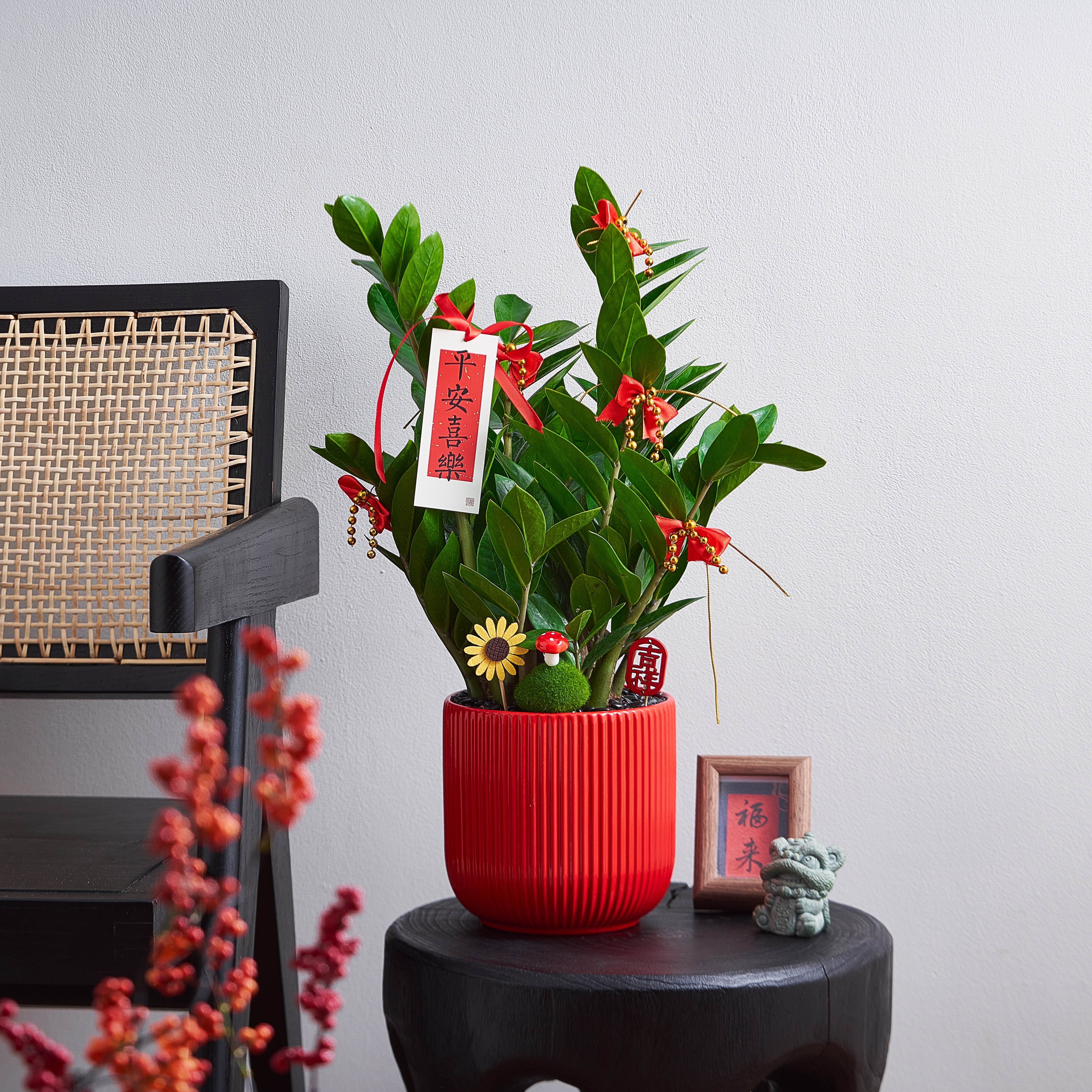 【顺丰发货】金钱树盆栽客厅招财旺宅桌面好养绿植物乔迁开业送礼,鲜花速递/花卉仿真/绿植园艺,绿植,淘宝优惠券,粉丝福利购,淘宝优惠卷