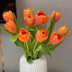 上海鲜花,进口荷兰郁金香橙色小王子鲜切花10支
