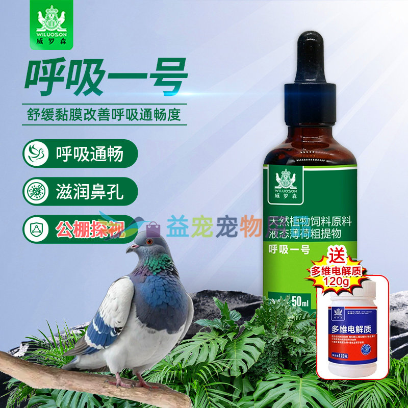 公棚探视信鸽提速畅通呼吸道一号