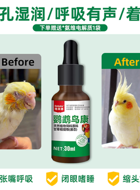 鹦鹉鸟用着凉鼻孔湿非鸟药眼睛红呼吸道粘液调理常备品格莱德鸟康