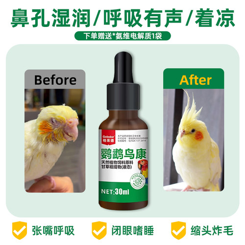 格莱德鹦鹉鸟康送氨维电解质一袋