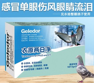 格萊德鴿子藥衣原兩日凈賽鴿用眼睛流淚鴿子單眼傷風(fēng)藥鸚鵡衣原體