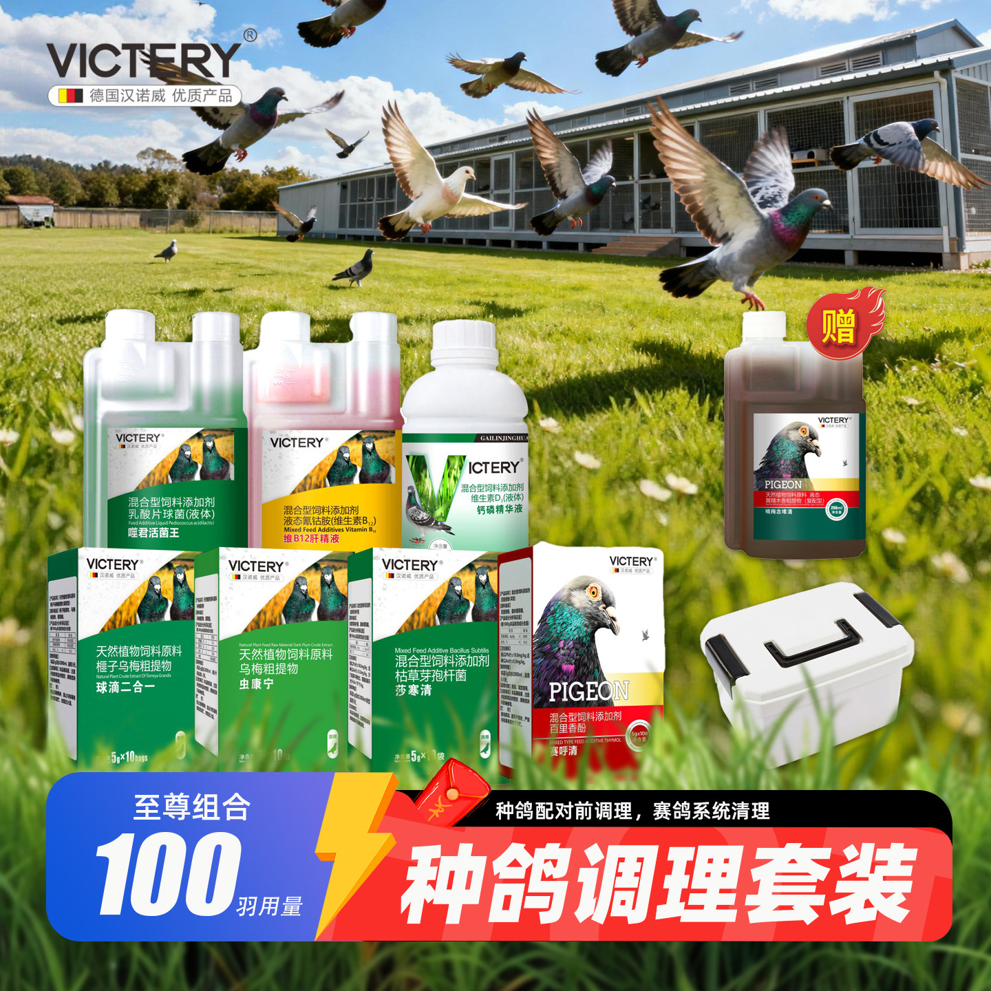 汉诺威种鸽赛鸽系统清理调理方案