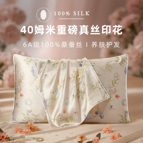 100%桑蚕丝丨40姆米真丝枕套礼盒