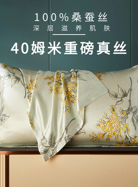 送妈妈礼物丨40姆米100%桑蚕丝6A真丝枕头套48X74cm单只一对装