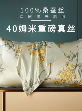 送妈妈礼物丨40姆米100%桑蚕丝6A真丝枕头套48X74cm单只一对装