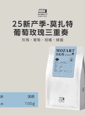 MARUS马路咖啡 25产季哥斯达黎加莫扎特音乐家系列手冲咖啡豆浅烘