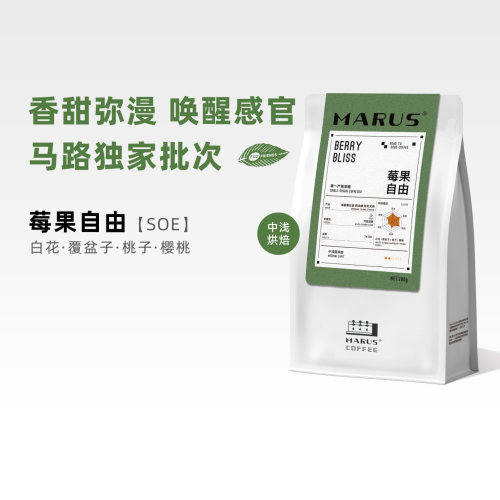 马路咖啡莓果自由SOE咖啡豆