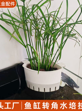 家用水草种植杯壁挂式水植物定植蓝鱼缸造景装饰