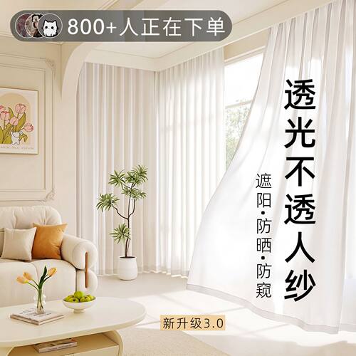 透光不透人窗帘纱帘白色窗纱客厅阳台飘窗遮阳白纱2026新款