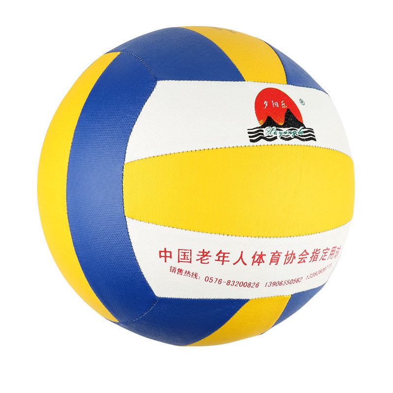 Ballon de volley-ball - Ref 2013671 Image 1