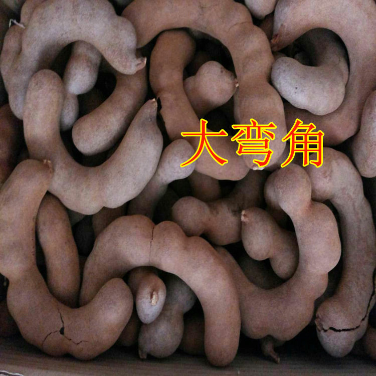 泰国新货新鲜大弯角 甜酸角 18斤罗望子甜角 甜酸角 包邮在类目 水产肉类/新鲜蔬果/熟食, 新鲜水果, 其它中 - 来自Buy2taobao.com提供专业的淘宝代购服务