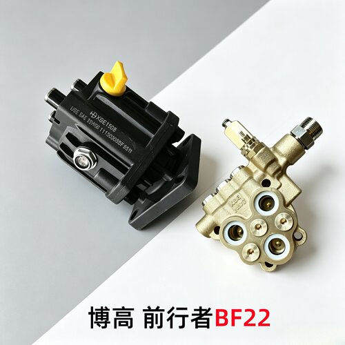 博高前行者BF22洗车水泵原装