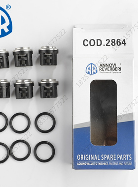 AR进口高压洗车机RG24.15/15.28/18.28单向阀吸出水阀清洗机配件