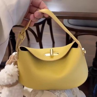 手提元宝包包女式2025新款春夏小众设计高级感精致可爱超火斜挎包