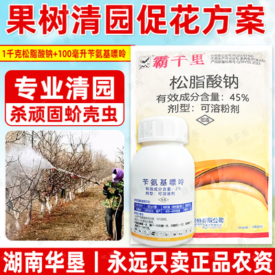 清园促花套餐大鹏松脂酸钠