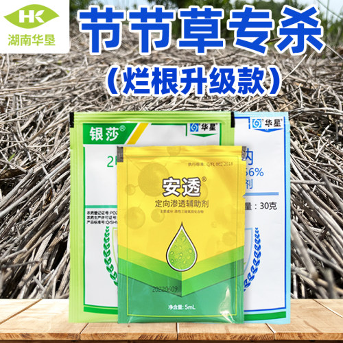 节节草专杀农药节节草笔筒草专用