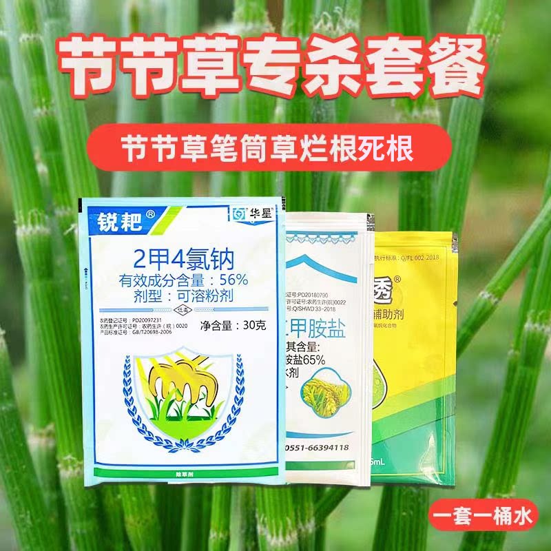 节节草专杀套装 2甲4氯钠二甲铵盐 节节草笔筒草除草剂烂根1套3包