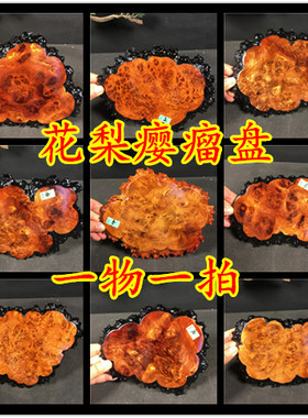 一物一拍缅甸花梨瘿满瘿瘤疤风化老料干泡茶盘小底座收藏欣赏摆件