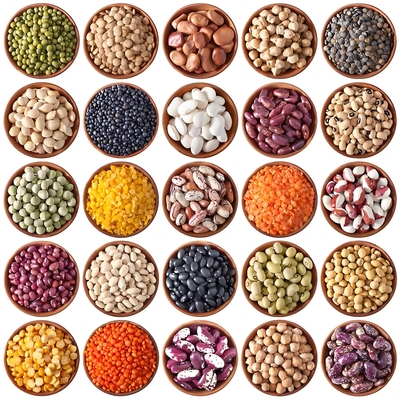 熊猫豆大青豆毛豆麻豌豆种子