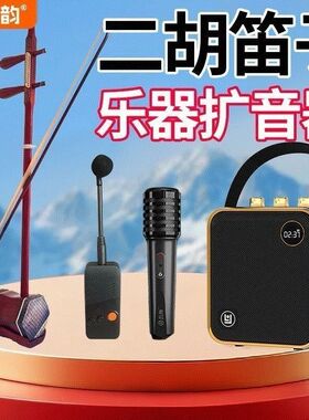 琅韵D91乐器音箱拾音器古筝古琴二胡专用无线扩音器专业蓝牙音响