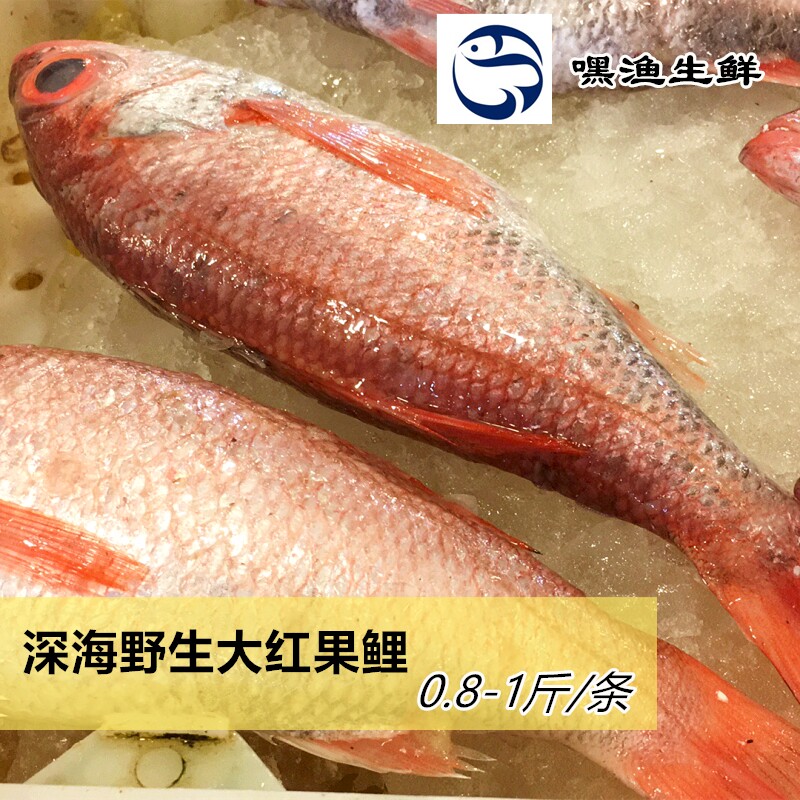 嘿渔海鲜舟山东海红果鲤鲜冻深海鱼赤鯥鱼喉黑0.9-1斤/条