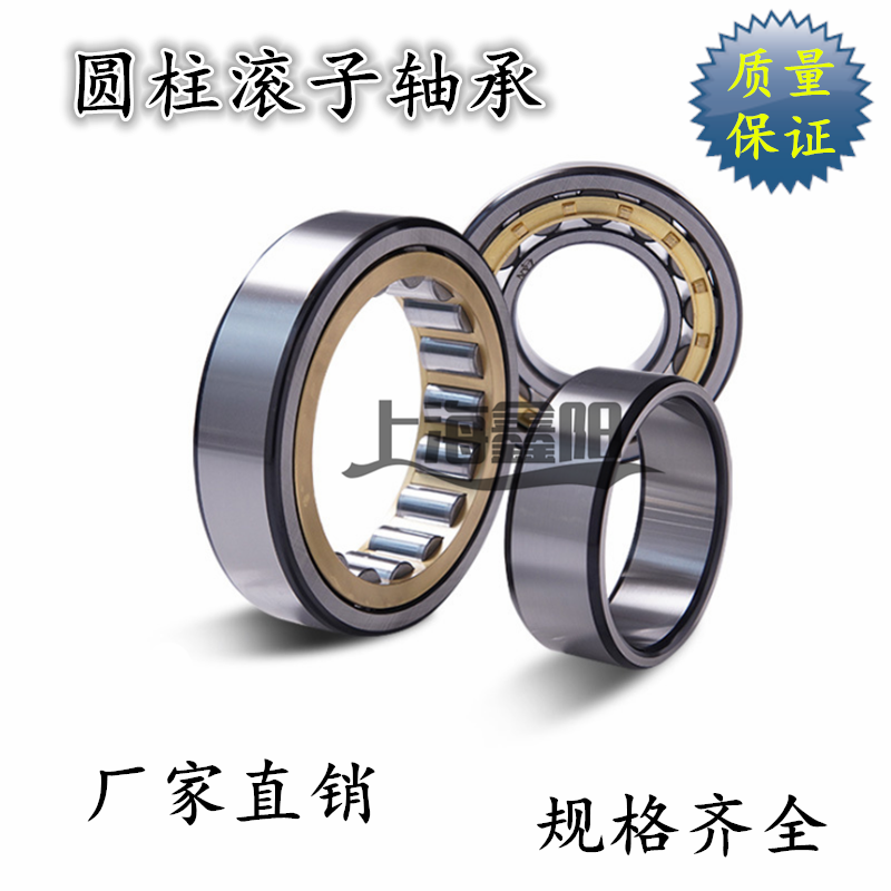 圆柱滚子轴承N1004 1005 1006 1007 1008 1009 1010 1011 1012EM
