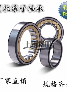 圆柱滚子轴承N1004 1005 1006 1007 1008 1009 1010 1011 1012EM