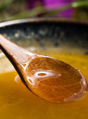 海伶山珍 ｜ 青川深山百花土蜂蜜500G 天然农家自产中华蜂