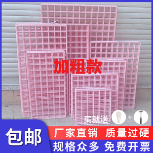 宿舍ins网红抖音装 饰铁艺网格照片墙出租房改造女生房间置物架