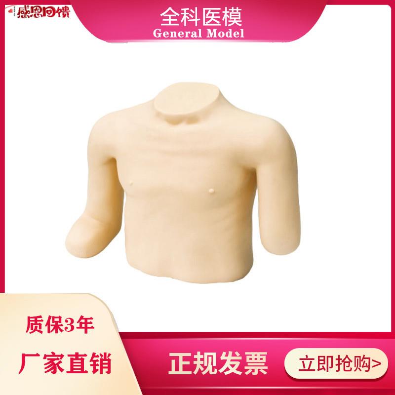 高级高位包扎模型头颈胸部上肢截肢手臂训J练模具骨折固定操作LV1
