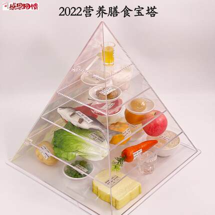 2022版膳食宝塔中国居民膳食X平衡宝塔食物膳食金字塔营养食物模