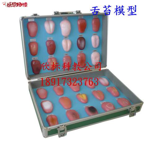舌苔模型 舌像模型30种正常舌苔L及各种疾病在舌苔上的病态变症